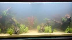 Bepflanzung am 01. Tag