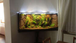 Aquarium Hängendes Eckaquarium