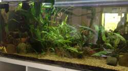 Ansicht Couch Bereich 1 - 2014