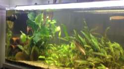 Ansicht Couch Seite Dezember 2015