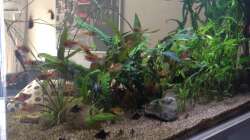 Ansicht Essbereich 3 - 2014