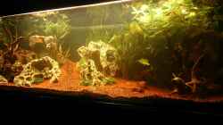 Aquarium Becken 32009