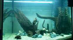 Aquarium Juwel Lido 200 weiss Fx