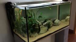 Mit Acrylglasscheiben abgedeckt / Beleuchtung Eigenbau