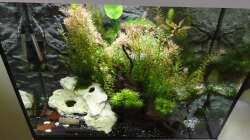 2015-08-03 Ansicht von vorn/oben.