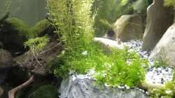 2015-08-25 Statt einer zweiten Terrassenebene haben wir den oberen Bereich jetzt