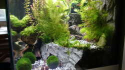 2015-08-07 In der zweiten Ebene kann man ein mit einem Plastikgitter abgedecktes