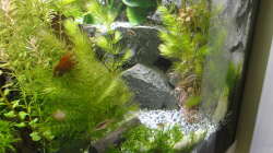 2015-08-03 Die beiden rechten Eingänge des Höhlensystems der zweiten Ebene im fertigen