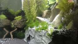 2015-08-25 Die Terrasse hat sich nämlich nach zwei Monaten gelöst - der Silikonkleber