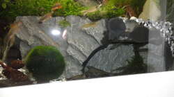 2015-08-03 So schaut die Höhle im fertigen Zustand aus. Ein bischen Moos hats reingeschwemmt,