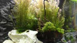 2015-08-11 Ansicht von vorn/links.