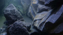 Blick durch die rechte Kopfscheibe