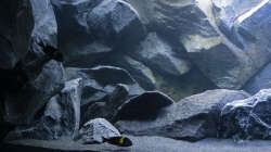 Beleuchtung am Mittag