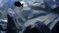 Beleuchtung am Abend