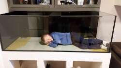 Das Aquarium 180x70x60