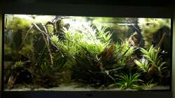 Sonnenuntergang - Dimmphase