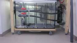 Filterbecken im ´Rohzustand´. ;-)