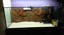 Einbringen des Bodens Körnung 0,1-0,9