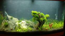 Aquarium Juwel Vision 180