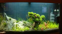 Aquarium Juwel Vision 180