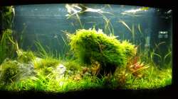 Aquarium Juwel Vision 180