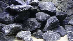 Dekoration im Aquarium Malawi Mbuna