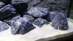 Dekoration im Aquarium Malawi Mbuna