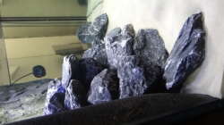 Dekoration im Aquarium Malawi Mbuna