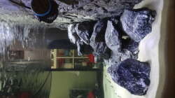 Dekoration im Aquarium Malawi Mbuna