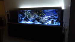 Dekoration im Aquarium Becken 32316