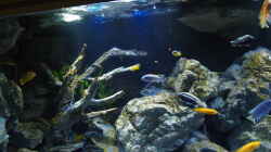 Aquarium Becken 32316