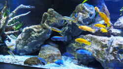 Aquarium Becken 32316