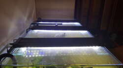 Technik im Aquarium Südamerika in der Oberpfalz