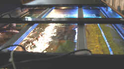 Technik im Aquarium Becken 32360