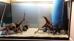 Fertig mit dem Hardscape