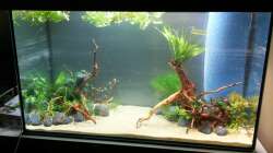 2 Tage nach dem Einlassen