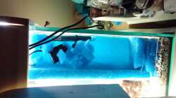 Fertiger Filter - Würfel und Boden hinzugefügt