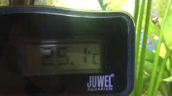 Temperatur müßte passen 