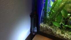 Technik im Aquarium Deep Blue Sea