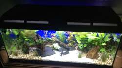 Aquarium Deep Blue Sea