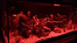 Aquarium Deep Blue Sea