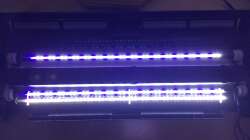 Technik im Aquarium Deep Blue Sea