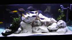 Aquarium Becken 324