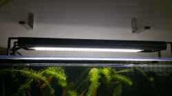 ECO LED Leisten von LED Aquaristik