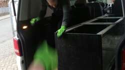 Aquarium Arbeitszimmer - Crytocara moori