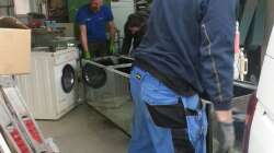 Aquarium Arbeitszimmer - Crytocara moori