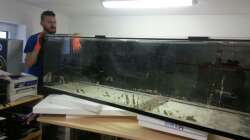 Schwer das Becken. Wir haben es mit Absetzen in drei Etappen zum Schreibtisch gefrachtet.