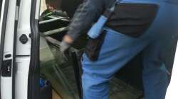 Aquarium Arbeitszimmer - Crytocara moori