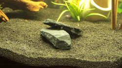 Zwei Steine für eine ´kleine´ Höhle