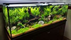 Aquarium South Afrika Dream Scape